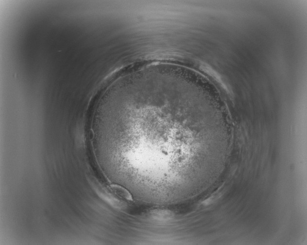 X0000068850203200605121418