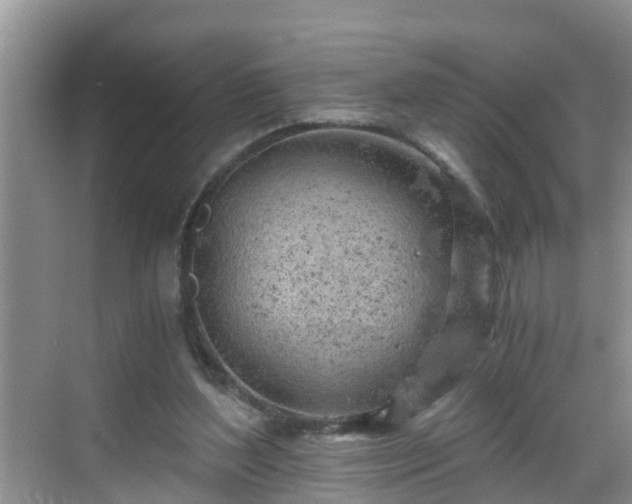 X0000068850204200605121418