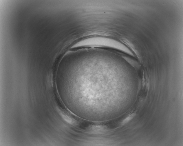 X0000068850205200605121418