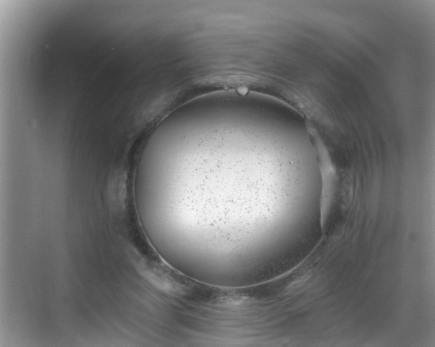 X0000068850206200605121418