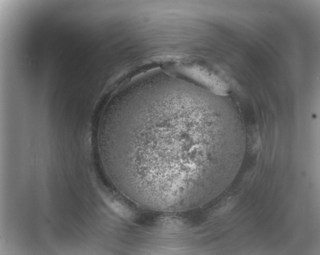 X0000068850207200605121418