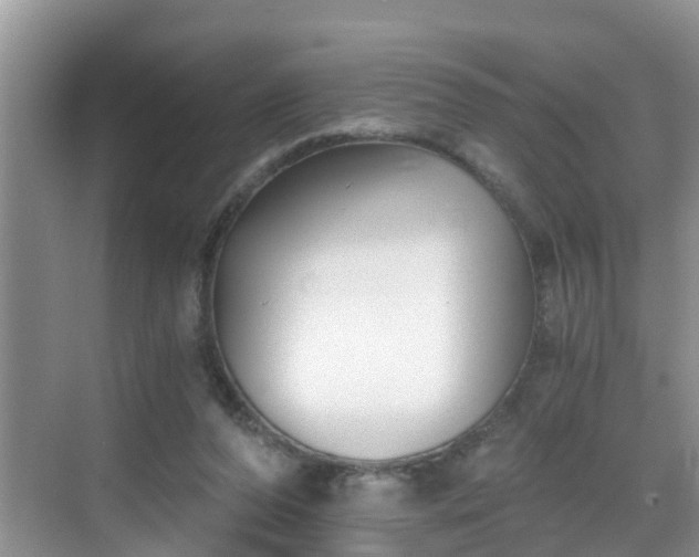 X0000068850208200605121418