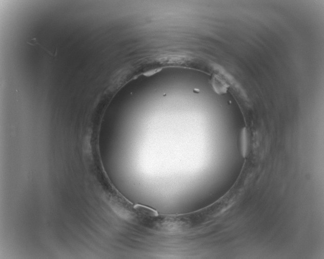 X0000068850209200605121418