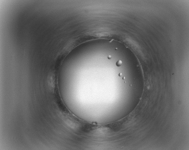 X0000068850210200605121418