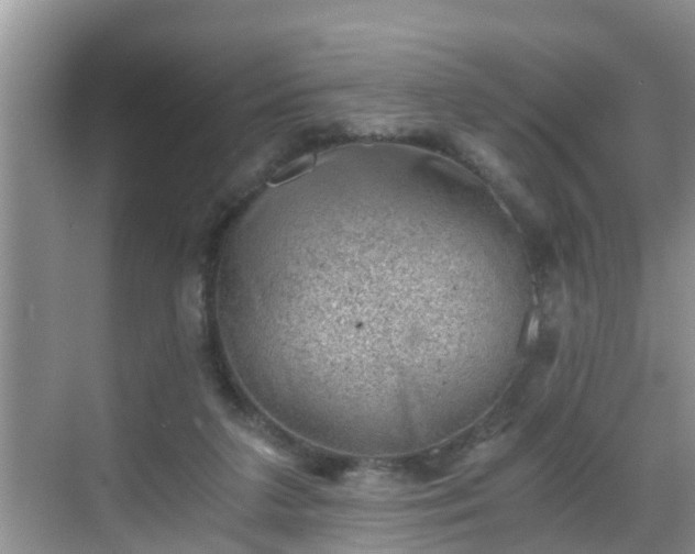 X0000068850211200605121418