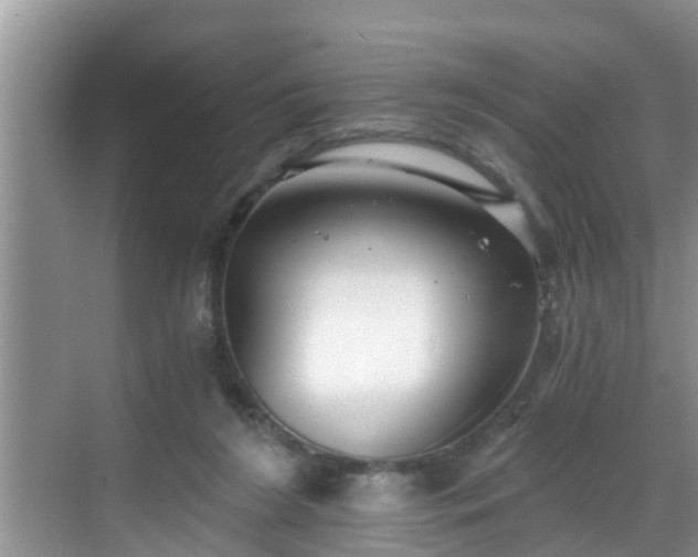 X0000068850212200605121418