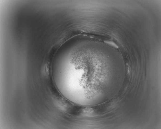 X0000068850214200605121418