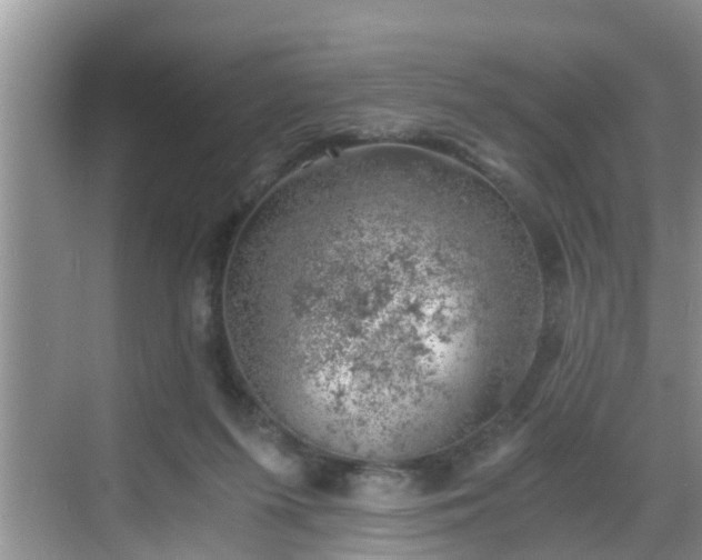 X0000068850215200605121418