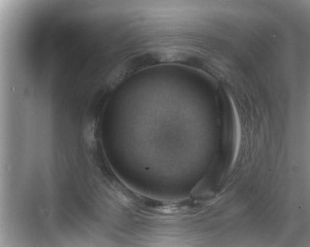 X0000068850219200605121417