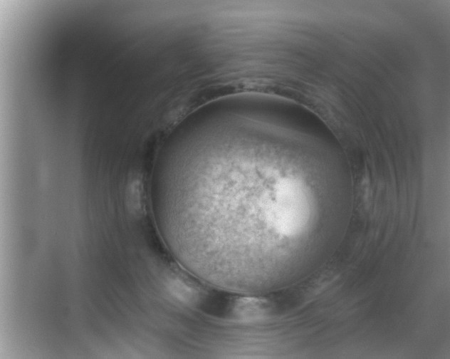 X0000068850222200605121417