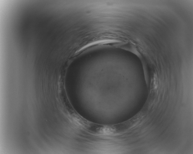 X0000068850223200605121417