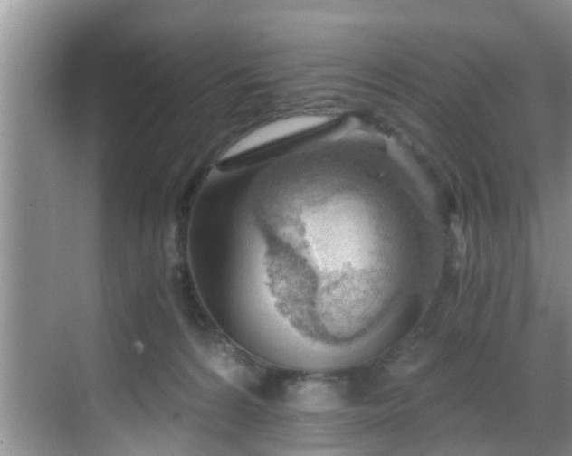 X0000068850224200605121417