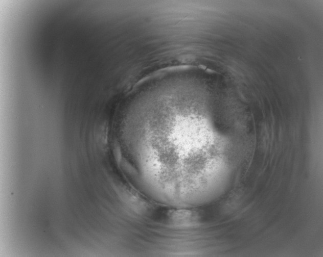 X0000068850230200605121417