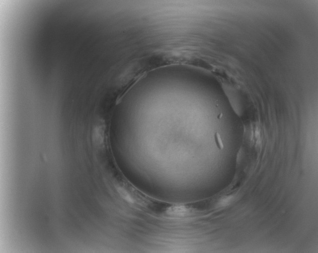 X0000068850231200605121417