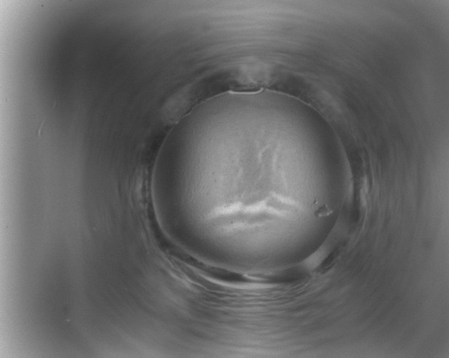 X0000068850233200605121417