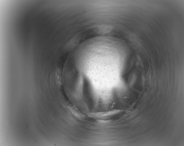 X0000068850234200605121417