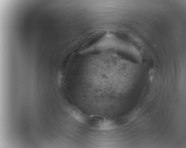 X0000068850235200605121417