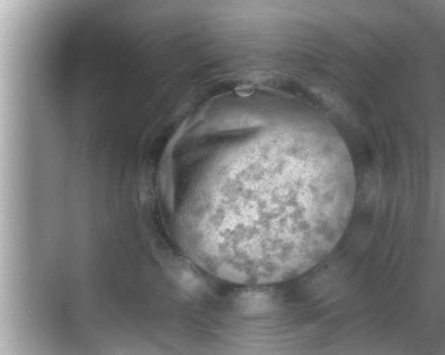 X0000068850236200605121417