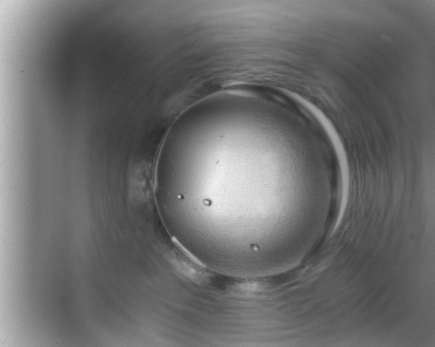 X0000068850237200605121417