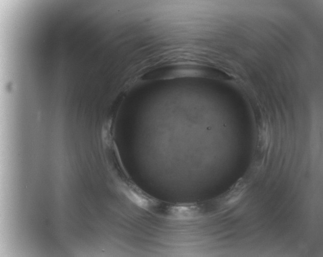 X0000068850239200605121417