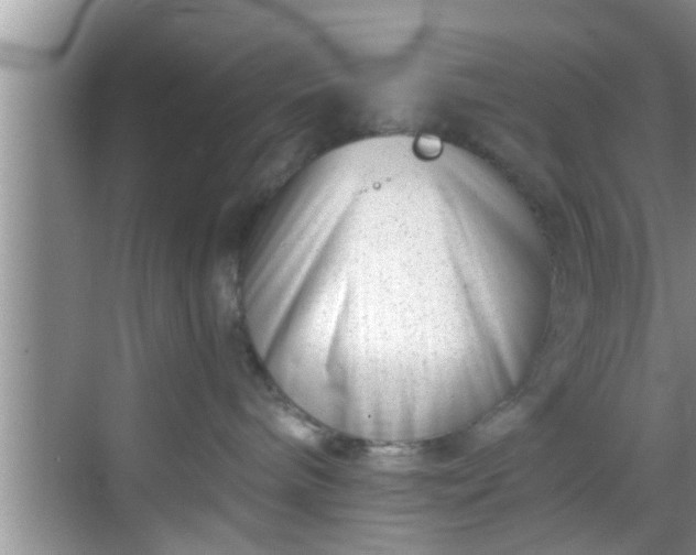 X0000068850240200605121417