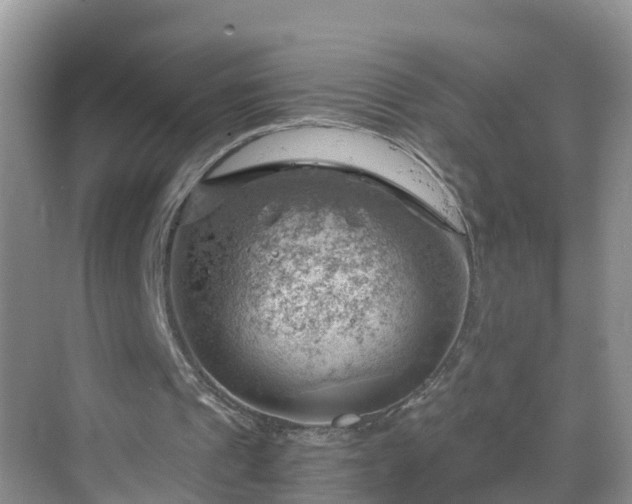 X0000068850241200605121416