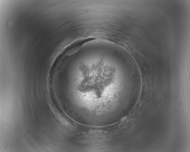 X0000068850242200605121416