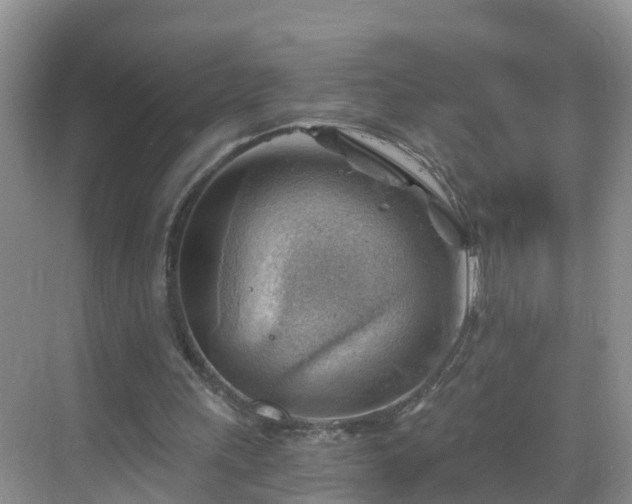 X0000068850243200605121416