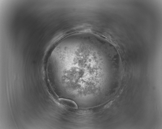 X0000068850245200605121416