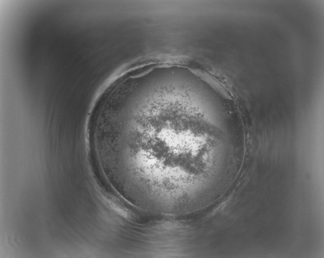 X0000068850246200605121416