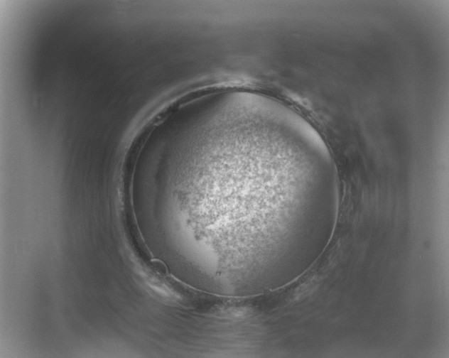 X0000068850247200605121416