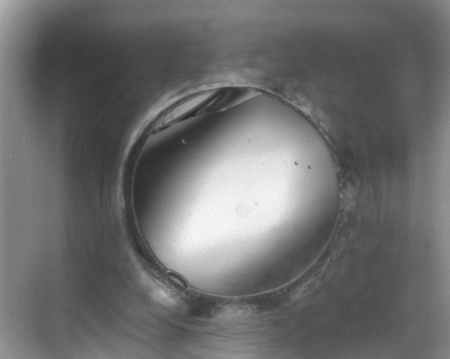 X0000068850248200605121416