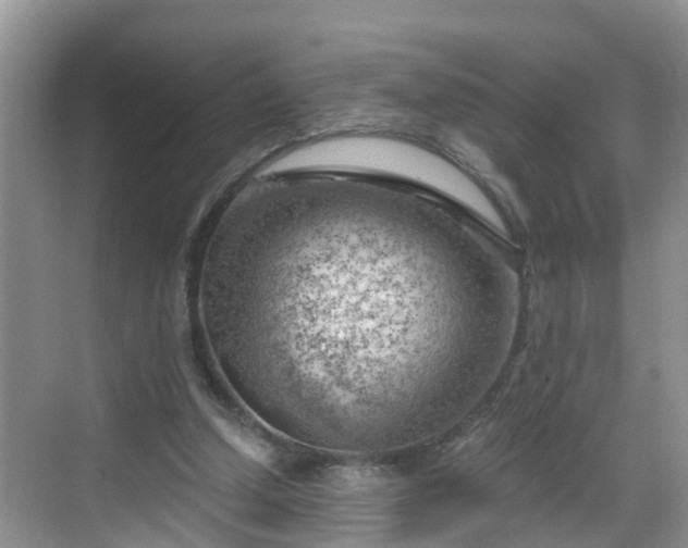 X0000068850250200605121416