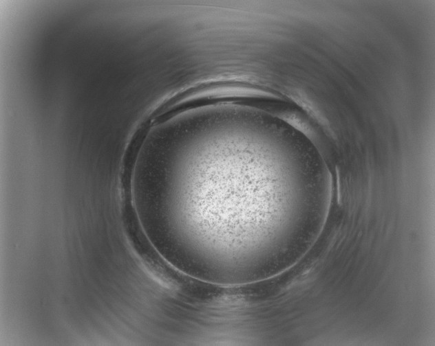 X0000068850252200605121417