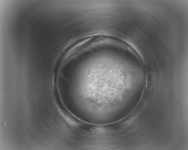 X0000068850253200605121417