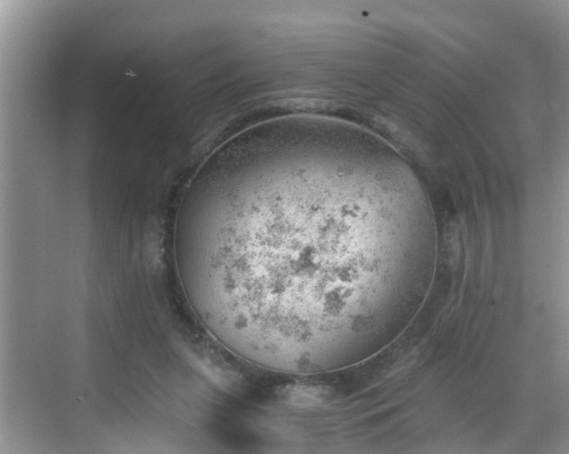 X0000068850255200605121417