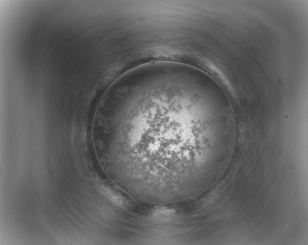 X0000068850257200605121417