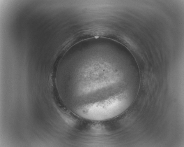 X0000068850258200605121417