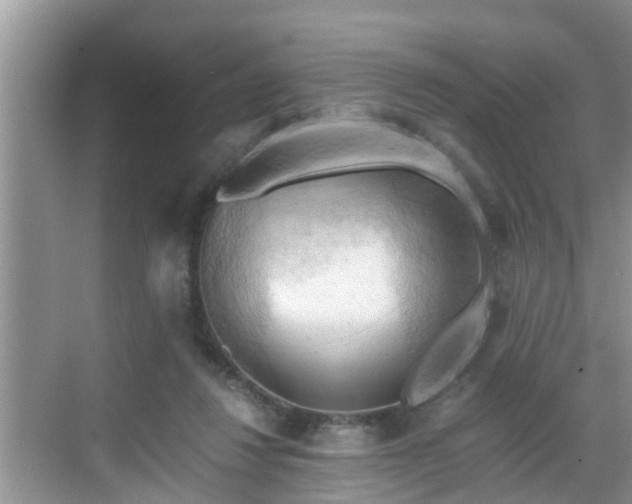 X0000068850260200605121417