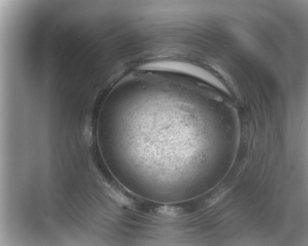 X0000068850261200605121417