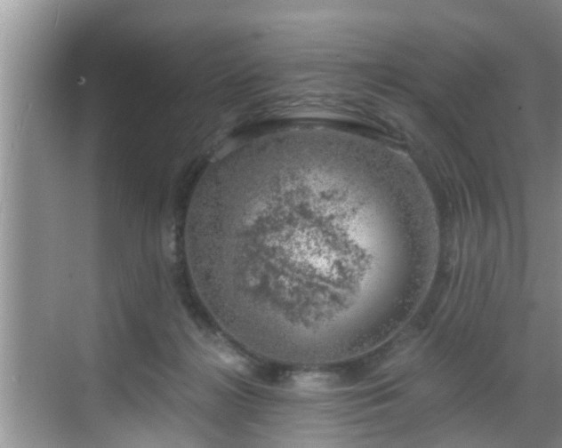 X0000068850268200605121417