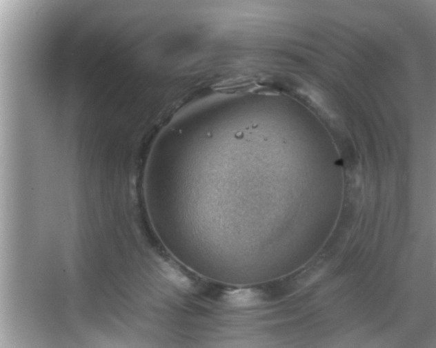 X0000068850269200605121417