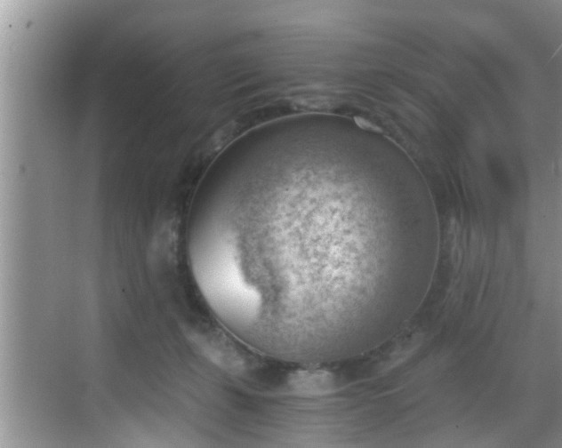 X0000068850271200605121417