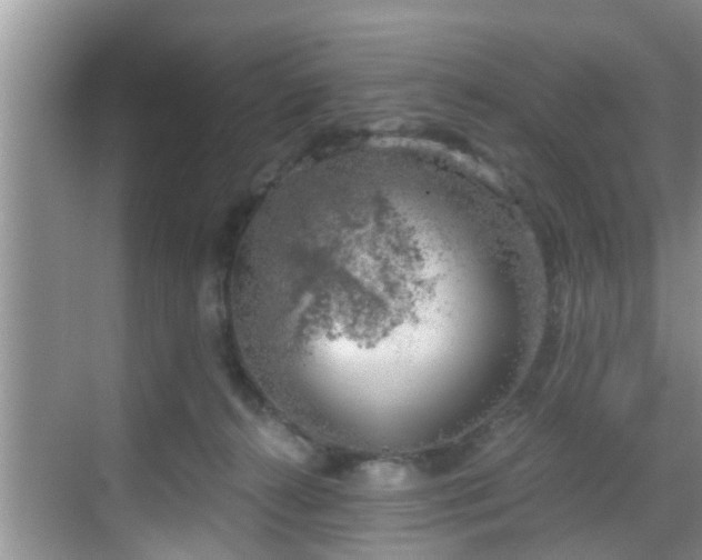 X0000068850272200605121417