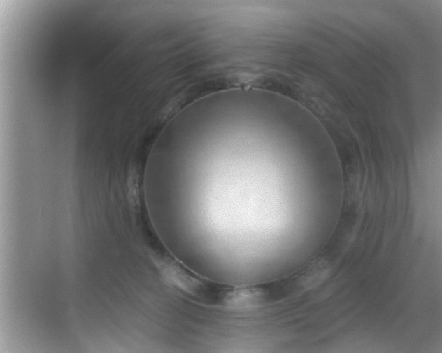 X0000068850274200605121417