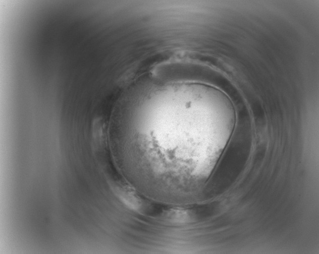 X0000068850276200605121417