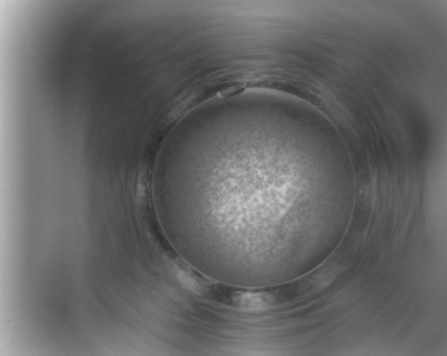 X0000068850277200605121417