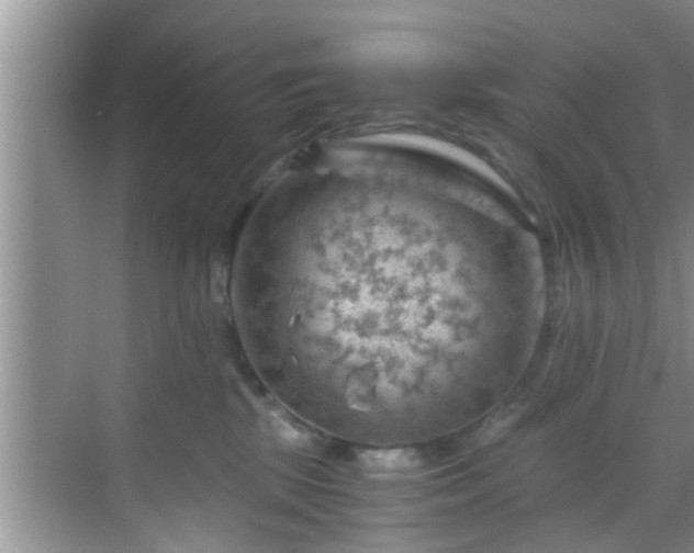 X0000068850281200605121417