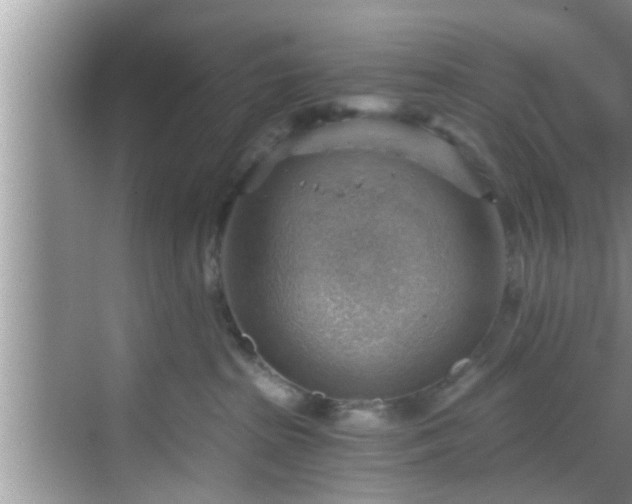 X0000068850285200605121417