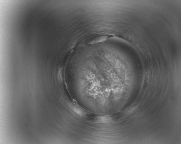 X0000068850286200605121417